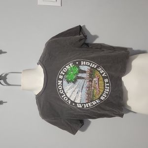 Volcom True to This Crop T